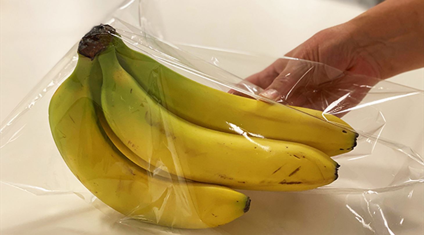 Billedet viser en klase bananer pakket i klart plast, billedet er brugt som forsidebillede til Plast og Emballages Medlemsinformation nr. 5-2021